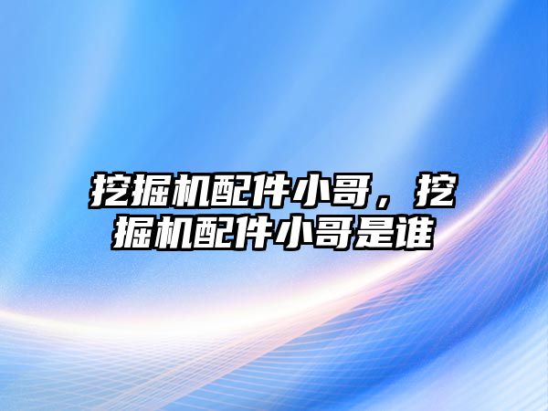 挖掘機配件小哥，挖掘機配件小哥是誰