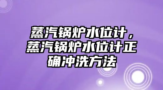 蒸汽鍋爐水位計，蒸汽鍋爐水位計正確沖洗方法