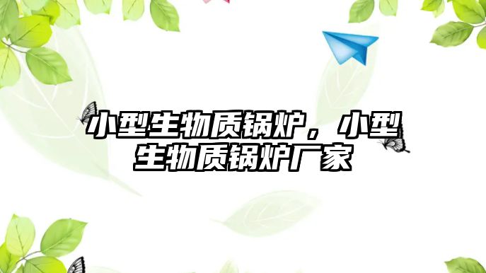 小型生物質(zhì)鍋爐，小型生物質(zhì)鍋爐廠家