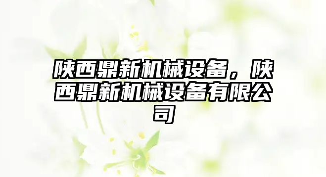 陜西鼎新機械設備，陜西鼎新機械設備有限公司