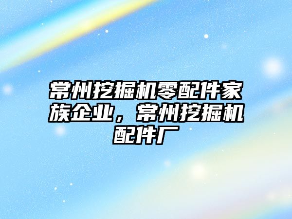 常州挖掘機零配件家族企業，常州挖掘機配件廠