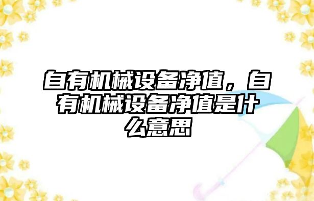 自有機械設備凈值，自有機械設備凈值是什么意思