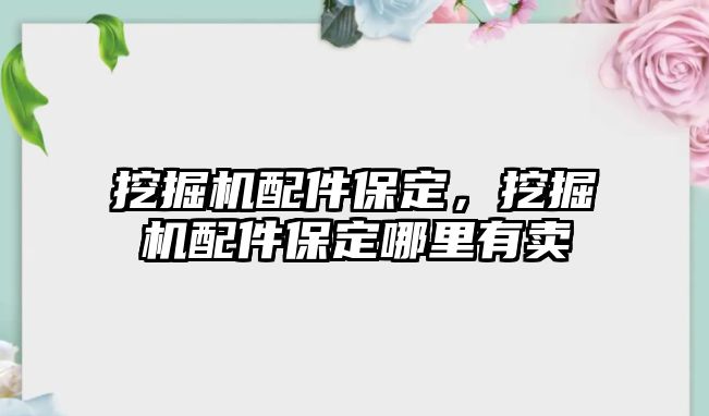 挖掘機配件保定，挖掘機配件保定哪里有賣