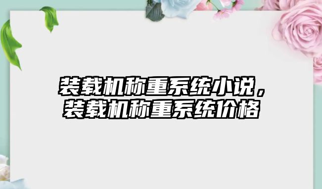 裝載機稱重系統小說，裝載機稱重系統價格