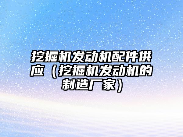 挖掘機發動機配件供應（挖掘機發動機的制造廠家）