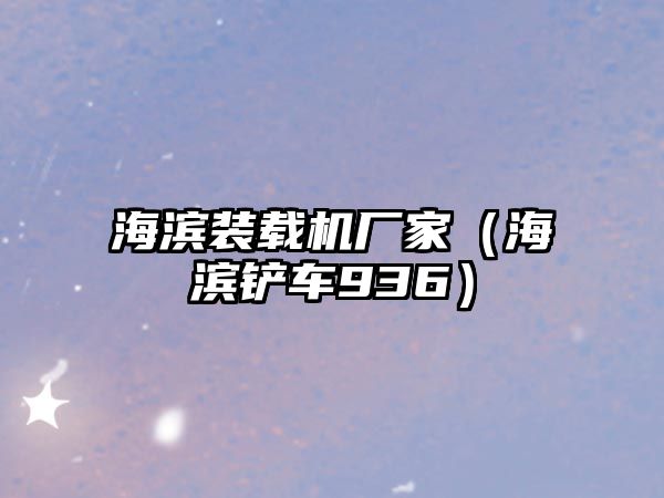 海濱裝載機廠家（海濱鏟車936）