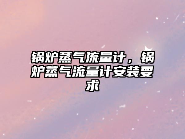 鍋爐蒸氣流量計，鍋爐蒸氣流量計安裝要求