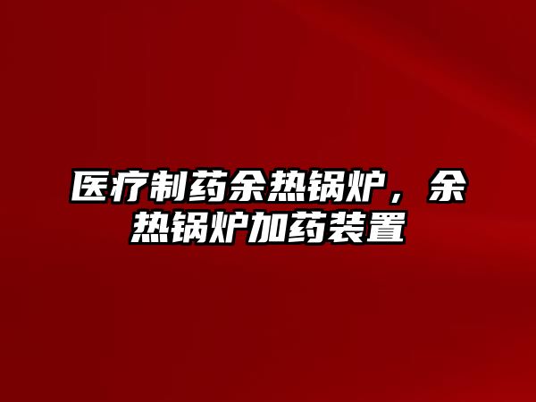 醫療制藥余熱鍋爐，余熱鍋爐加藥裝置