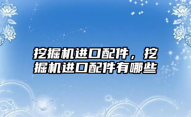 挖掘機進口配件，挖掘機進口配件有哪些