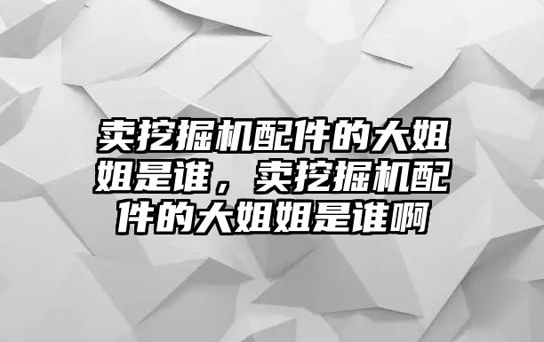 賣挖掘機配件的大姐姐是誰，賣挖掘機配件的大姐姐是誰啊