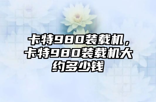 卡特980裝載機，卡特980裝載機大約多少錢