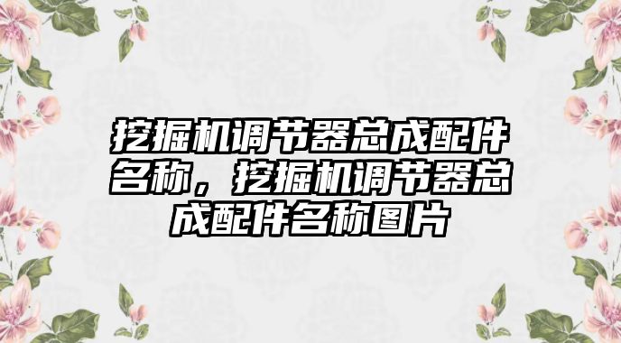 挖掘機調(diào)節(jié)器總成配件名稱，挖掘機調(diào)節(jié)器總成配件名稱圖片