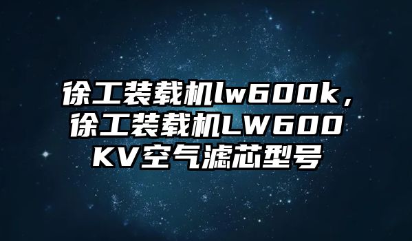 徐工裝載機lw600k，徐工裝載機LW600KV空氣濾芯型號