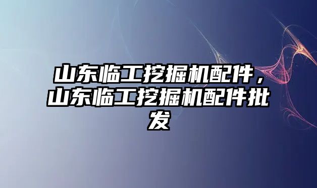 山東臨工挖掘機配件，山東臨工挖掘機配件批發