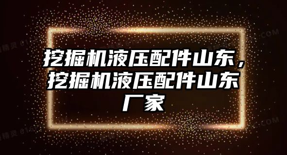 挖掘機液壓配件山東，挖掘機液壓配件山東廠家