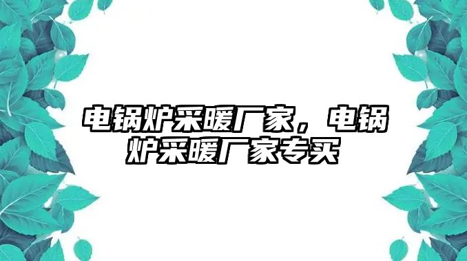 電鍋爐采暖廠家，電鍋爐采暖廠家專買