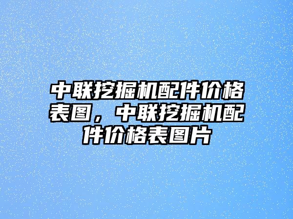 中聯挖掘機配件價格表圖，中聯挖掘機配件價格表圖片