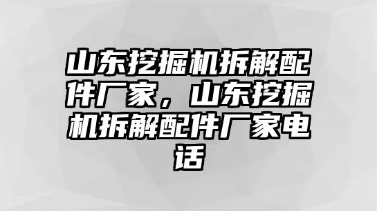 山東挖掘機拆解配件廠家，山東挖掘機拆解配件廠家電話