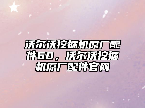 沃爾沃挖掘機(jī)原廠配件60，沃爾沃挖掘機(jī)原廠配件官網(wǎng)