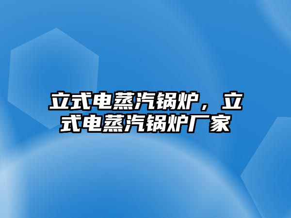 立式電蒸汽鍋爐，立式電蒸汽鍋爐廠家