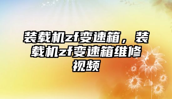 裝載機zf變速箱，裝載機zf變速箱維修視頻