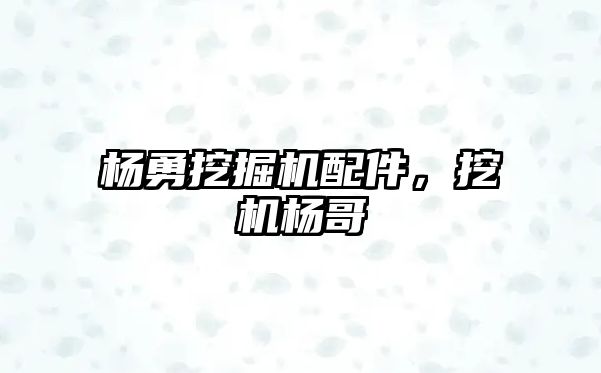 楊勇挖掘機配件，挖機楊哥