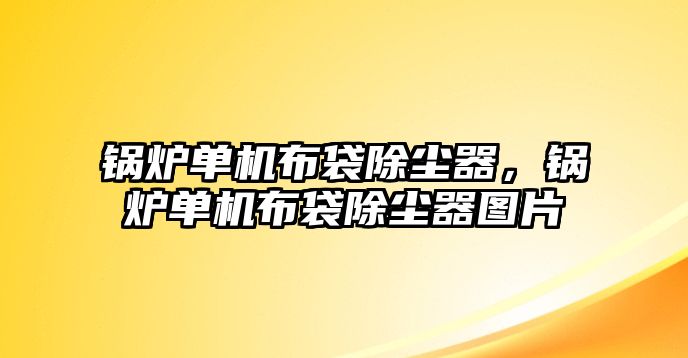 鍋爐單機布袋除塵器，鍋爐單機布袋除塵器圖片