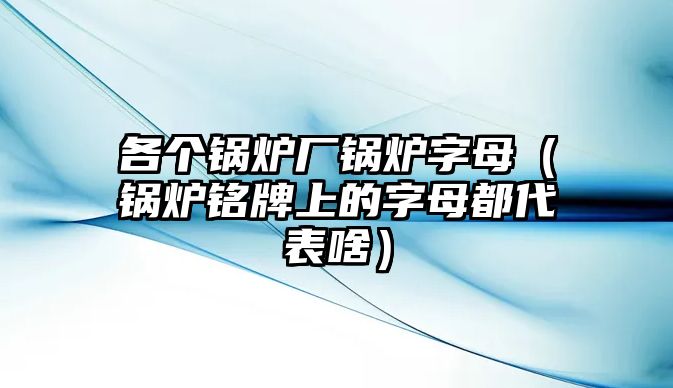 各個鍋爐廠鍋爐字母（鍋爐銘牌上的字母都代表啥）