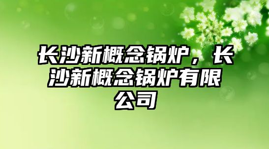 長(zhǎng)沙新概念鍋爐，長(zhǎng)沙新概念鍋爐有限公司