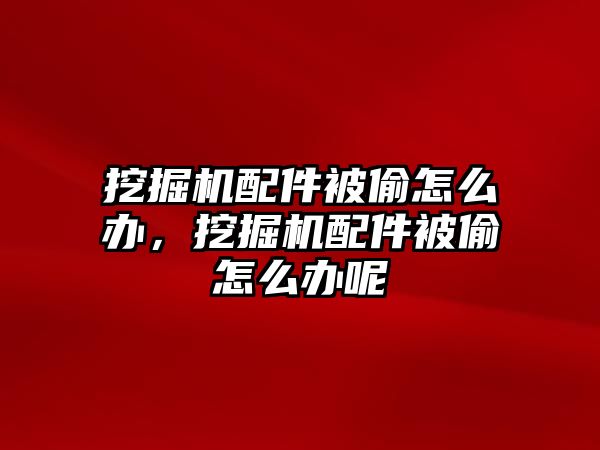 挖掘機配件被偷怎么辦，挖掘機配件被偷怎么辦呢