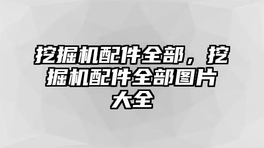 挖掘機(jī)配件全部，挖掘機(jī)配件全部圖片大全