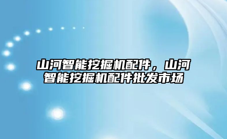 山河智能挖掘機配件，山河智能挖掘機配件批發市場