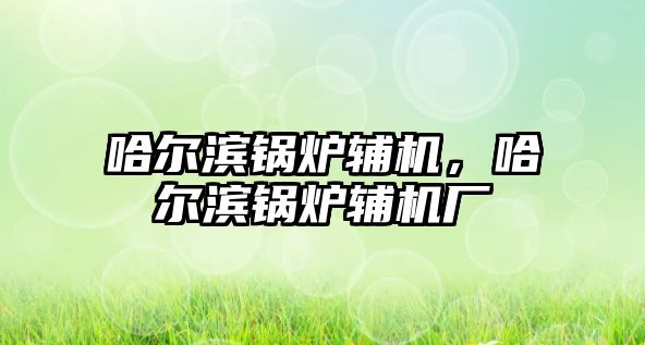 哈爾濱鍋爐輔機，哈爾濱鍋爐輔機廠