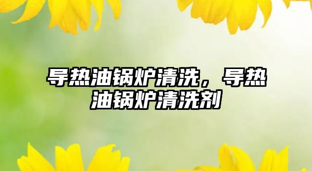 導(dǎo)熱油鍋爐清洗，導(dǎo)熱油鍋爐清洗劑