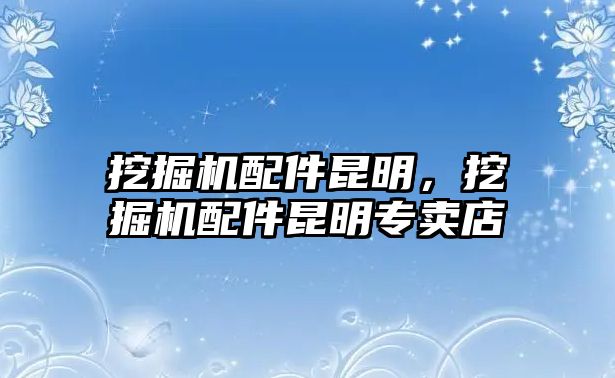 挖掘機配件昆明，挖掘機配件昆明專賣店