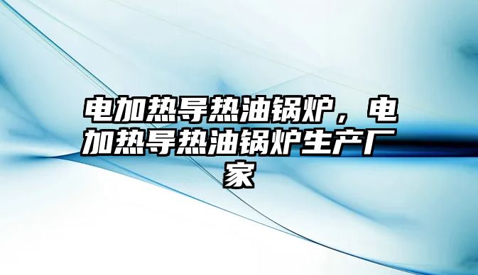 電加熱導熱油鍋爐，電加熱導熱油鍋爐生產廠家