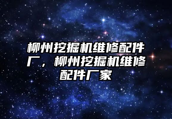 柳州挖掘機維修配件廠，柳州挖掘機維修配件廠家