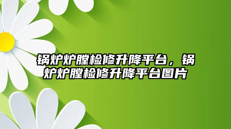 鍋爐爐膛檢修升降平臺，鍋爐爐膛檢修升降平臺圖片