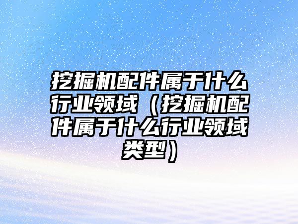 挖掘機配件屬于什么行業(yè)領(lǐng)域（挖掘機配件屬于什么行業(yè)領(lǐng)域類型）