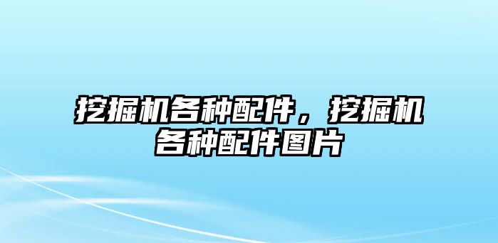 挖掘機各種配件，挖掘機各種配件圖片