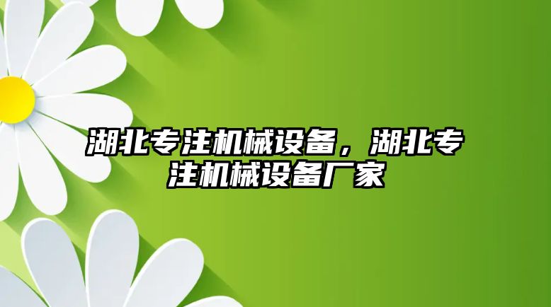 湖北專注機械設備，湖北專注機械設備廠家