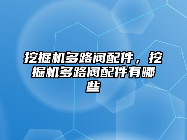 挖掘機多路閥配件，挖掘機多路閥配件有哪些