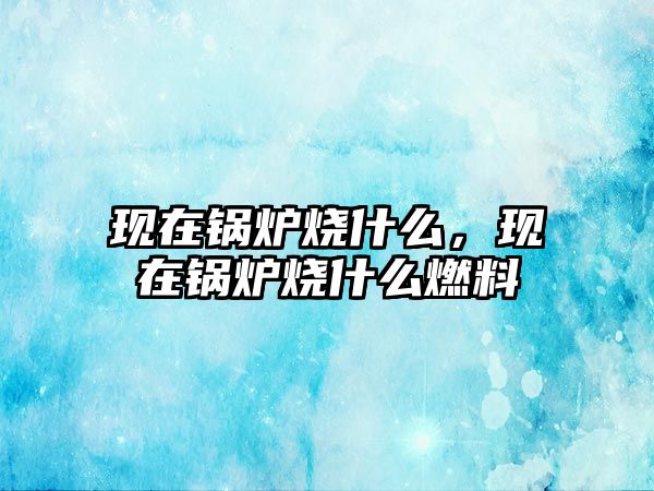 現在鍋爐燒什么，現在鍋爐燒什么燃料