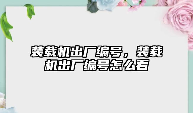 裝載機出廠編號，裝載機出廠編號怎么看