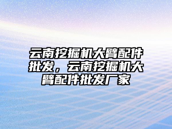 云南挖掘機大臂配件批發，云南挖掘機大臂配件批發廠家