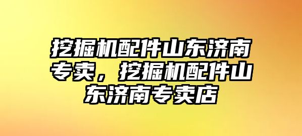 挖掘機配件山東濟南專賣，挖掘機配件山東濟南專賣店