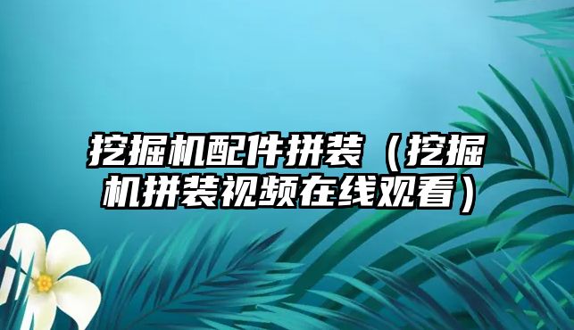 挖掘機配件拼裝（挖掘機拼裝視頻在線觀看）