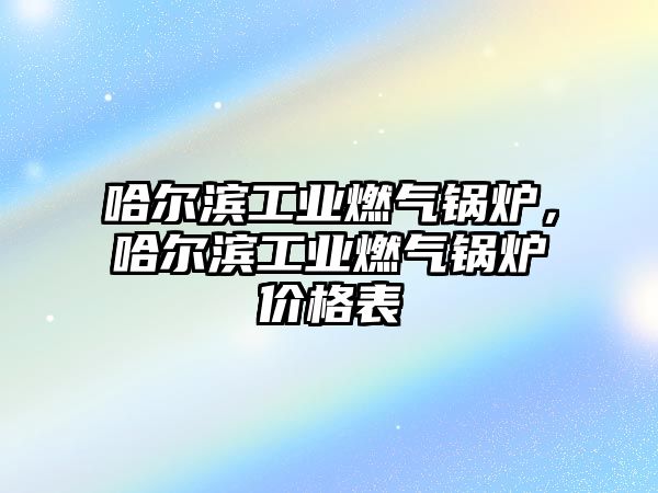 哈爾濱工業(yè)燃?xì)忮仩t，哈爾濱工業(yè)燃?xì)忮仩t價格表