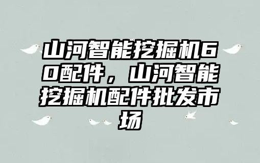 山河智能挖掘機(jī)60配件，山河智能挖掘機(jī)配件批發(fā)市場