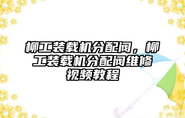 柳工裝載機分配閥，柳工裝載機分配閥維修視頻教程